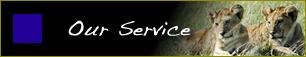 Our Service